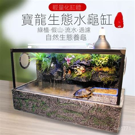 烏龜養|【烏龜缸diy】最全烏龜缸布置、造景、換水總整理，。